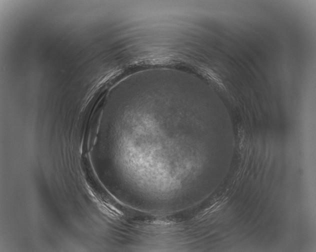 X0000057570542200509231228