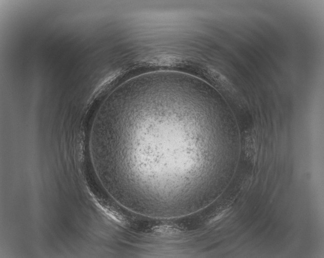 X0000057570544200509231228