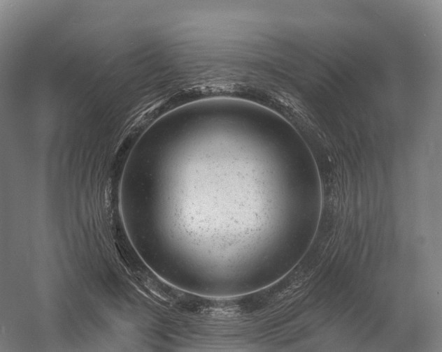 X0000057570548200509231228