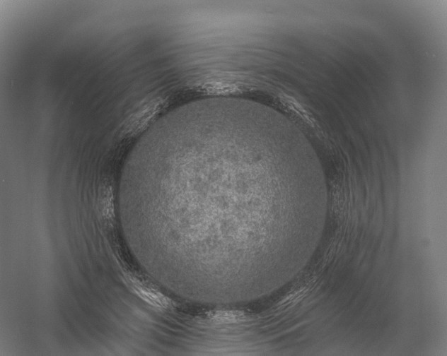 X0000057570549200509231228
