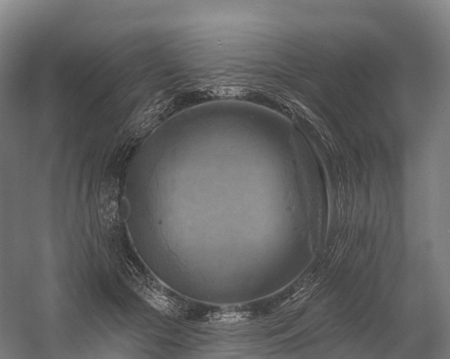X0000057570553200509231228