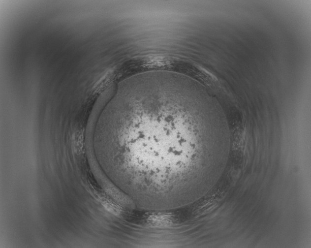 X0000057570560200509231228
