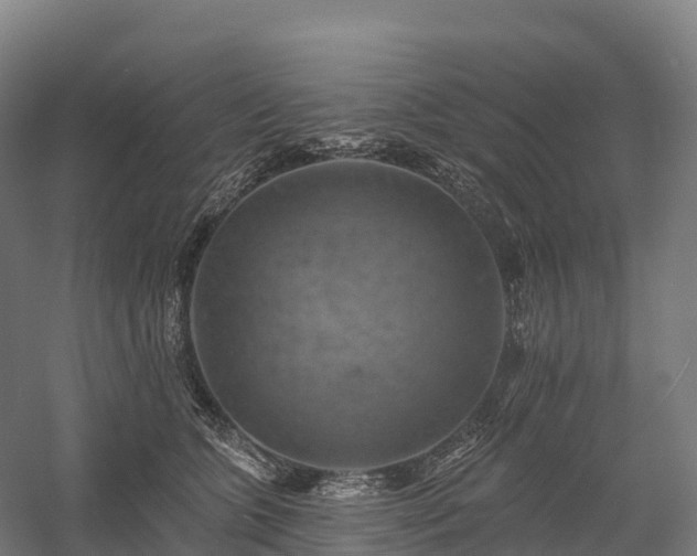 X0000057570563200509231228