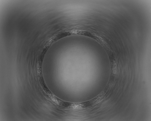 X0000057570569200509231228