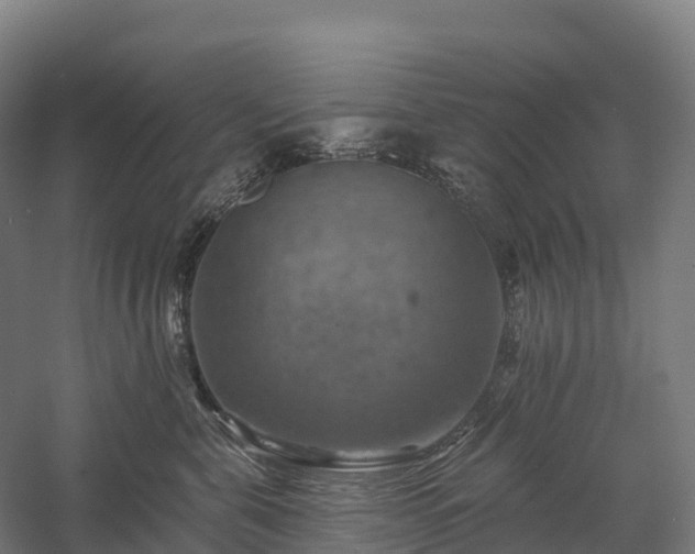 X0000057570571200509231228