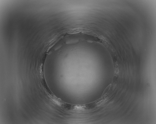 X0000057570573200509231228