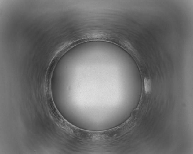 X0000057570579200509231228
