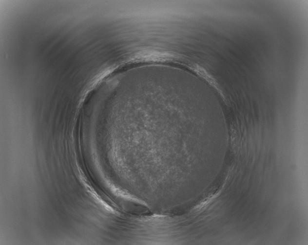 X0000057570581200509231228