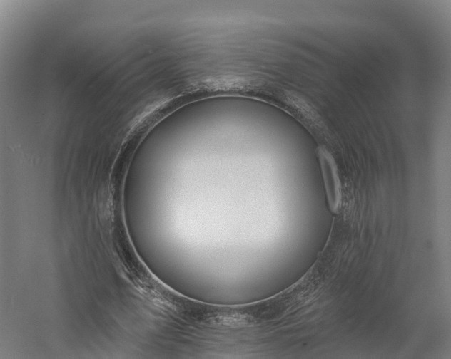 X0000057570583200509231228