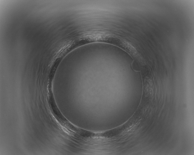 X0000057570590200509231227