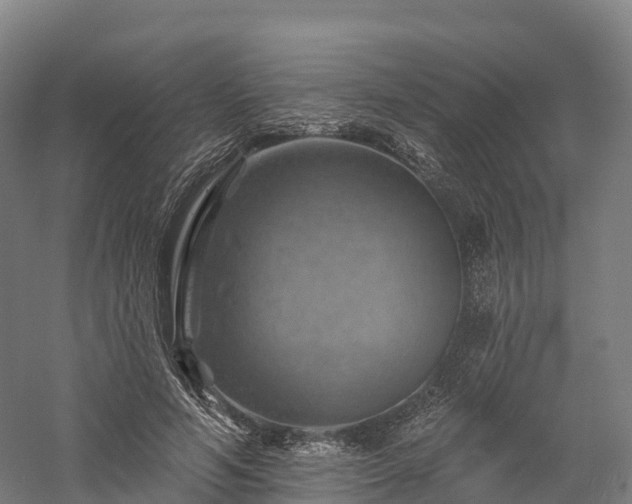 X0000057570594200509231227