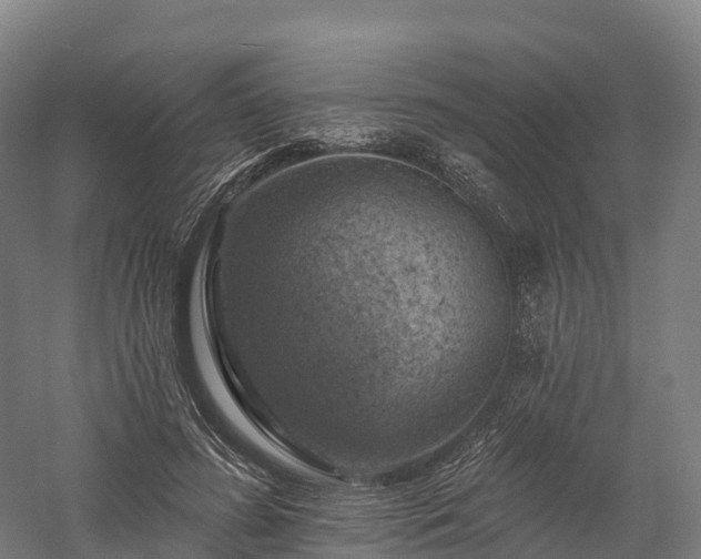 X0000057570596200509231227
