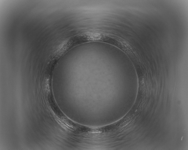 X0000057570598200509231227