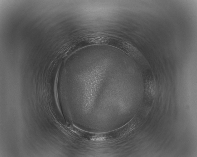 X0000057570602200509231227