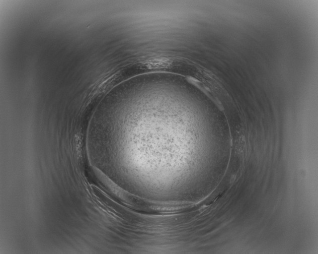 X0000057570604200509231227