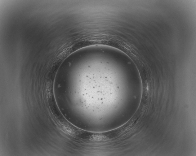 X0000057570605200509231227