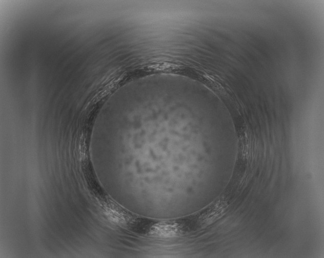 X0000057570606200509231227