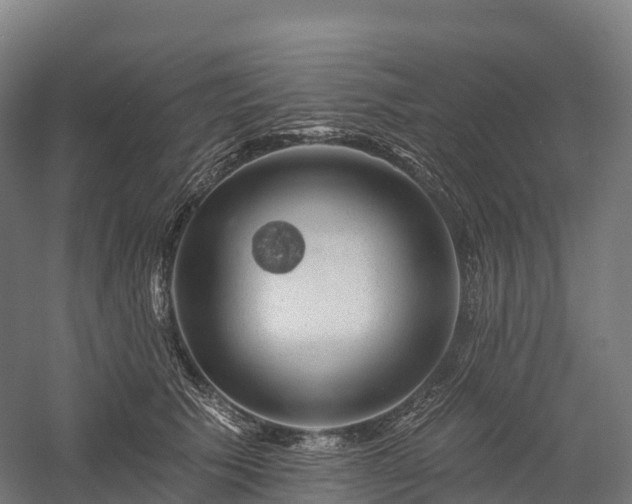 X0000057570609200509231227