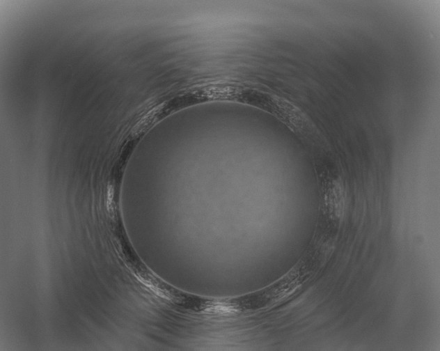 X0000057570610200509231227