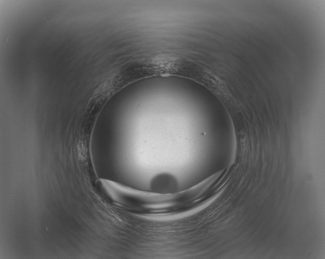 X0000057570613200509231227