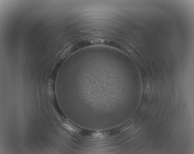 X0000057570616200509231227
