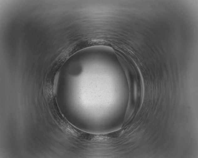 X0000057570617200509231227