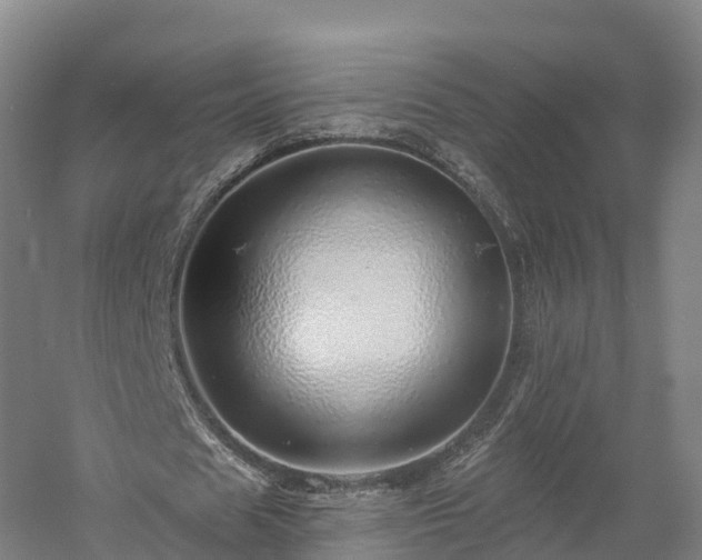 X0000057570625200509231226