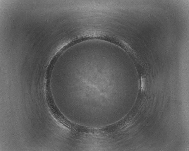 X0000057570627200509231226