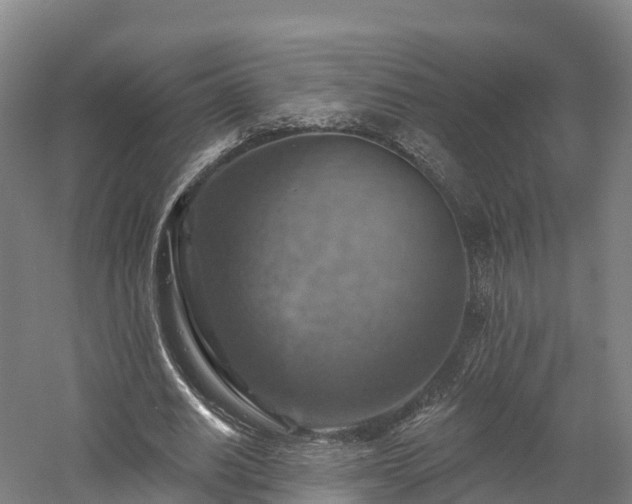 X0000057570630200509231226