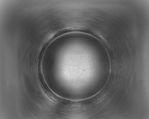 X0000057570631200509231226