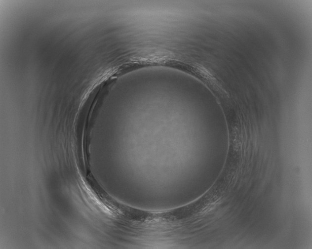 X0000057570634200509231226