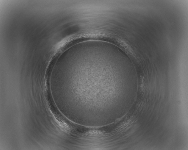 X0000057570636200509231226