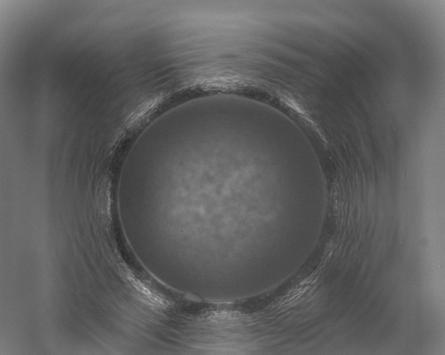 X0000057570637200509231226