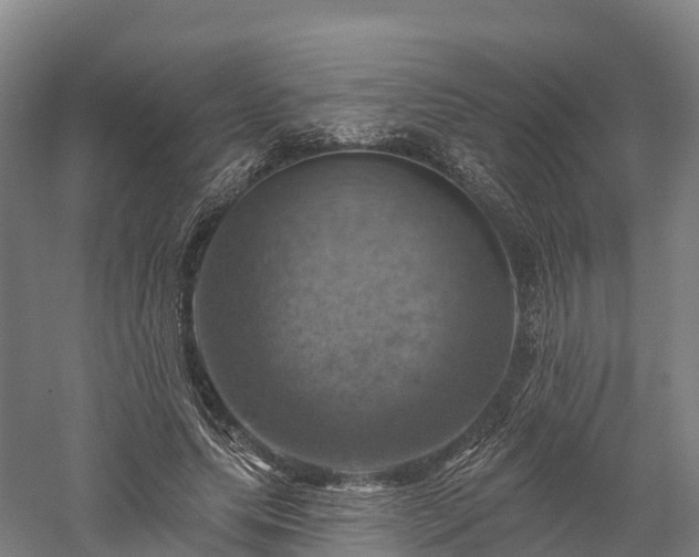 X0000057570639200509231226