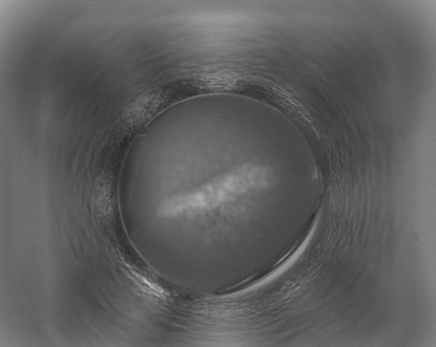 X0000057570641200509231226