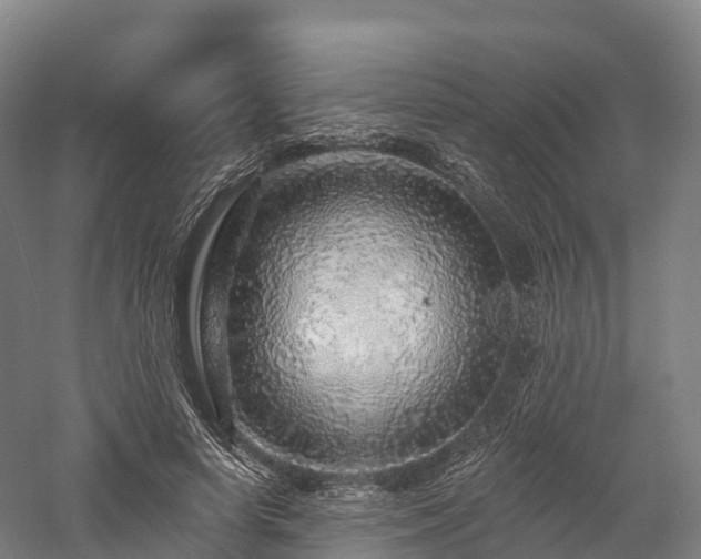X0000057570642200509231226