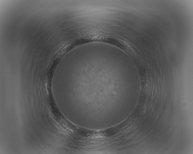X0000057570643200509231226