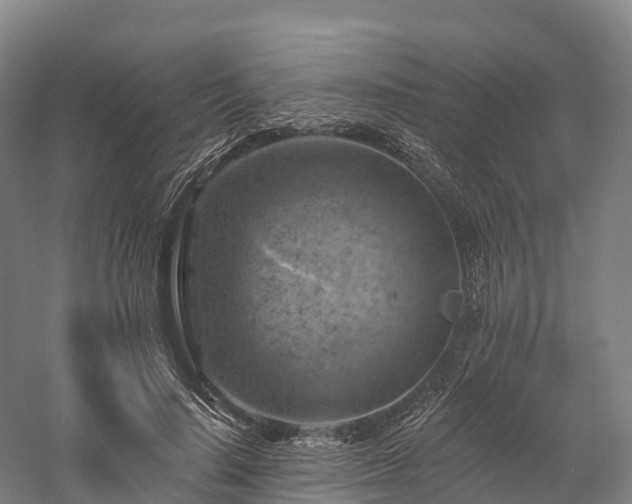 X0000057570644200509231226