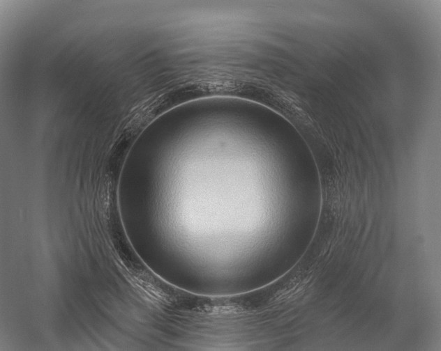X0000057570645200509231226