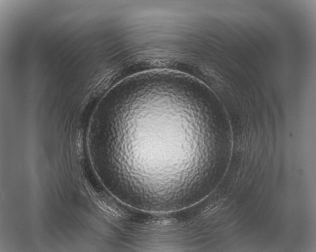 X0000057570646200509231226