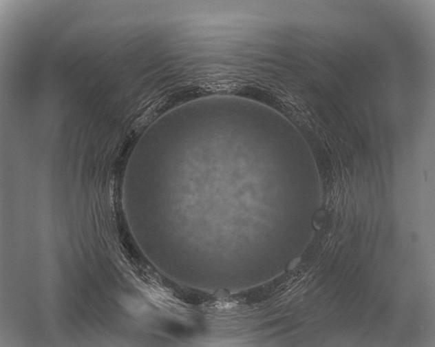 X0000057570647200509231226