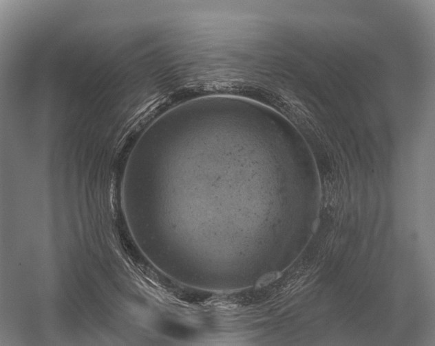 X0000057570648200509231226