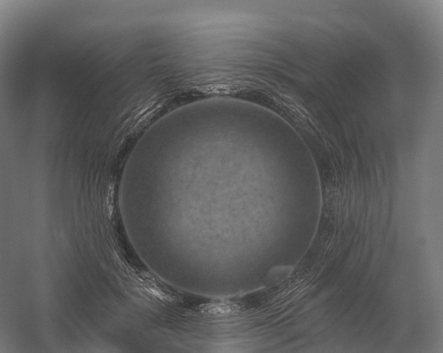 X0000057570652200509231227