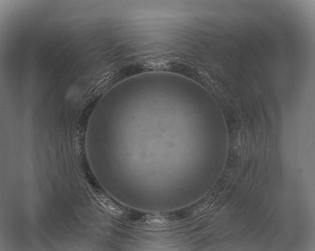 X0000057570658200509231227