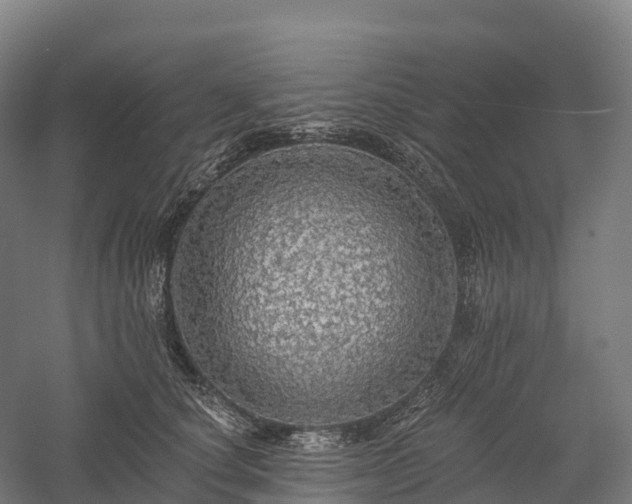 X0000057570660200509231227