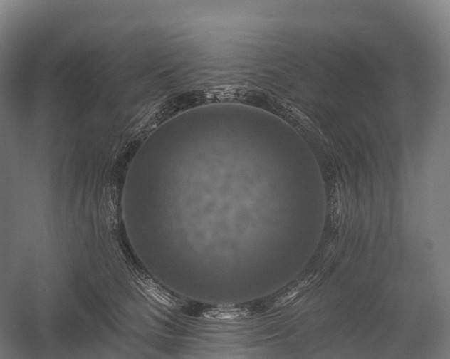 X0000057570661200509231227