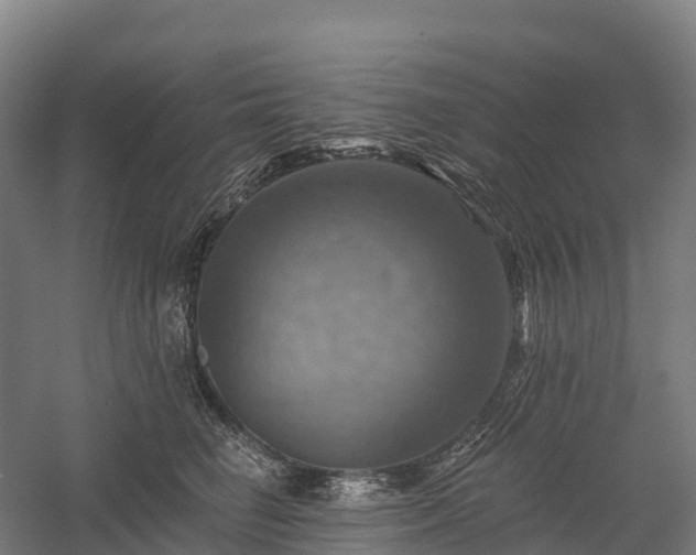 X0000057570662200509231227