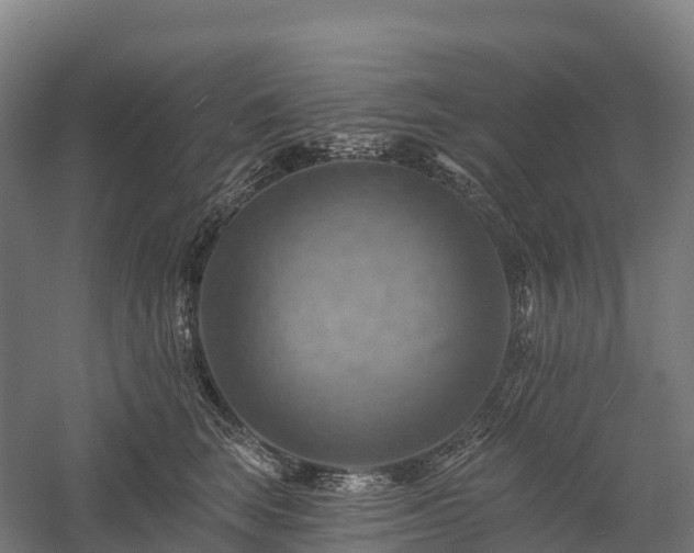 X0000057570663200509231227