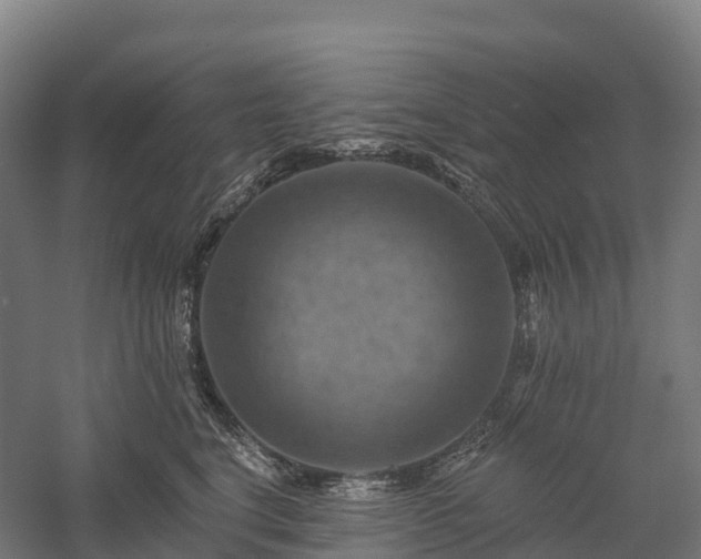 X0000057570664200509231227