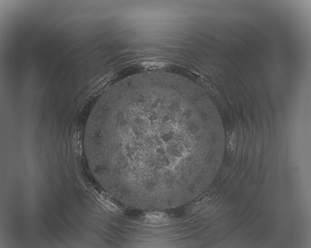 X0000057570666200509231227